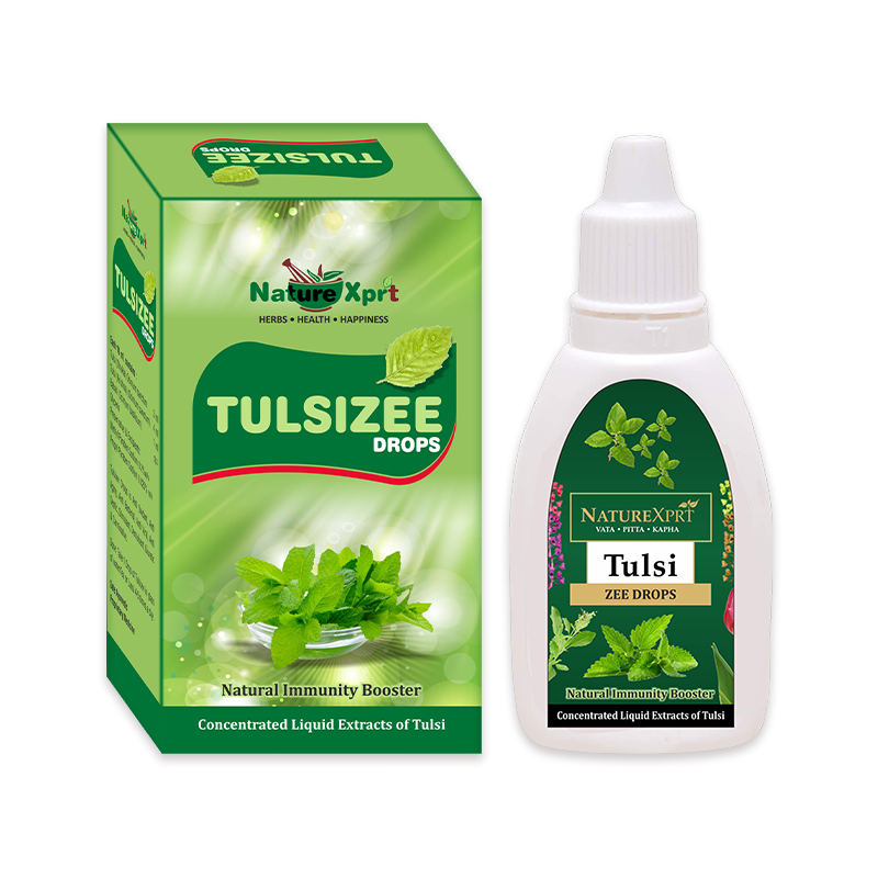 NatureXprt Tulsi Drops | Natural Tulsi Extract for Immunity Support, Cough & Cold Relief | Herbal Wellness Drops | 25ml
